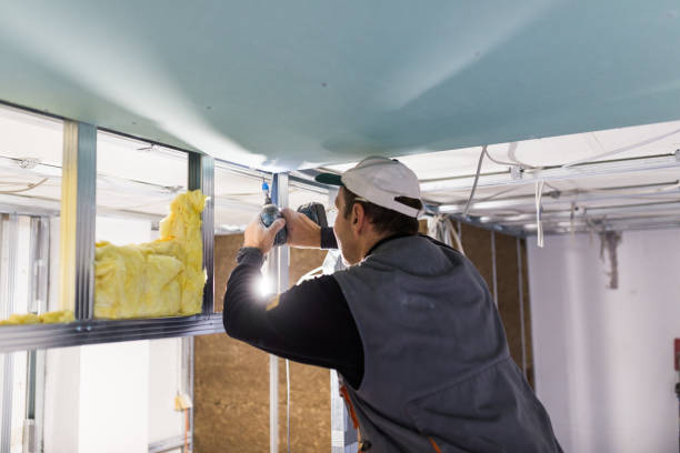 Best Commercial Insulation in Ridgebury, CT